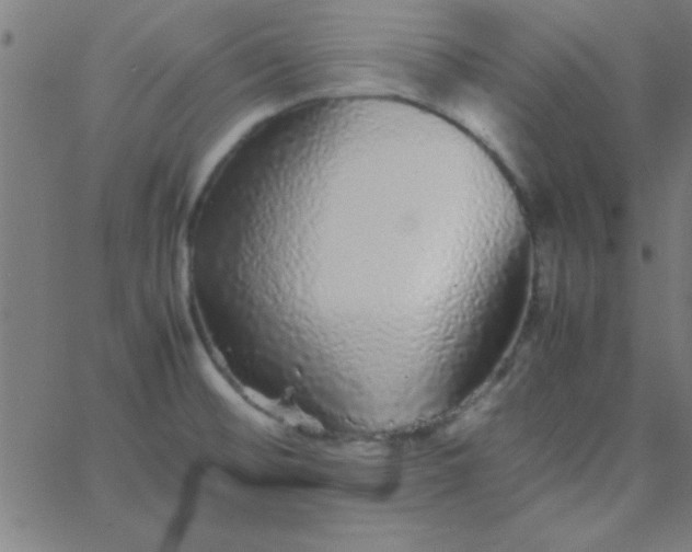 X0000067911476200604271905