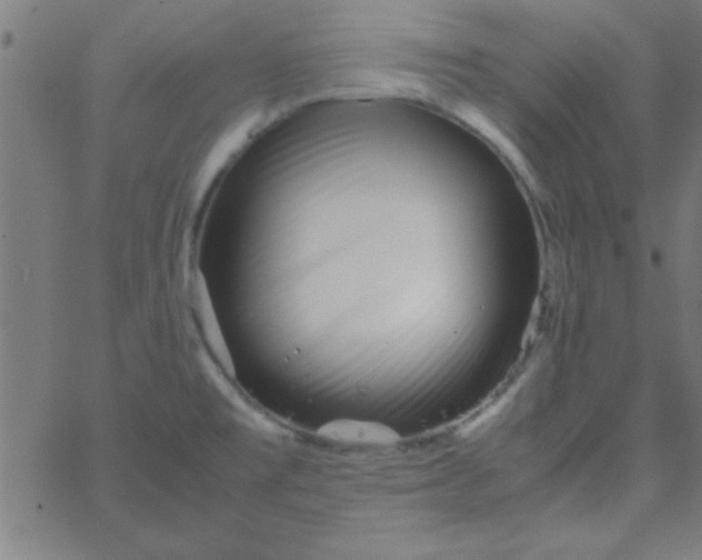 X0000067911477200604271905