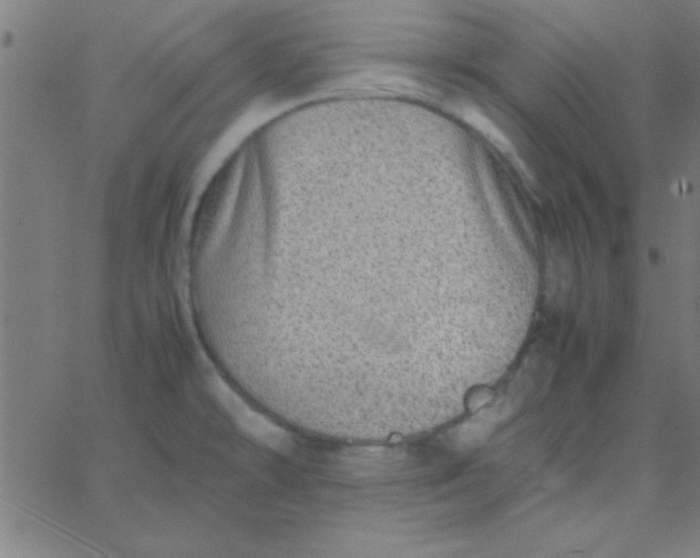 X0000067911478200604271905