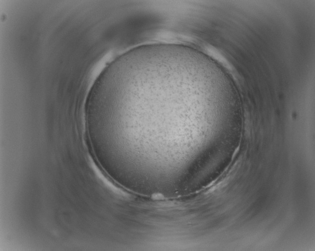 X0000067911479200604271905