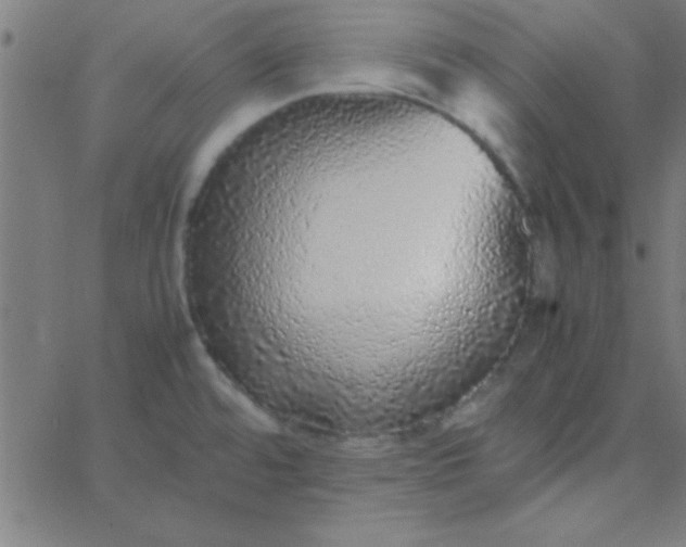 X0000067911480200604271905