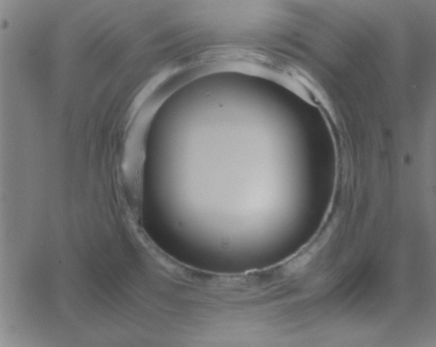 X0000067911481200604271905