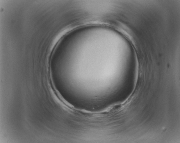 X0000067911483200604271905