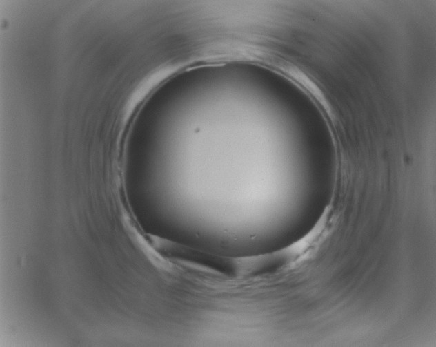 X0000067911485200604271905