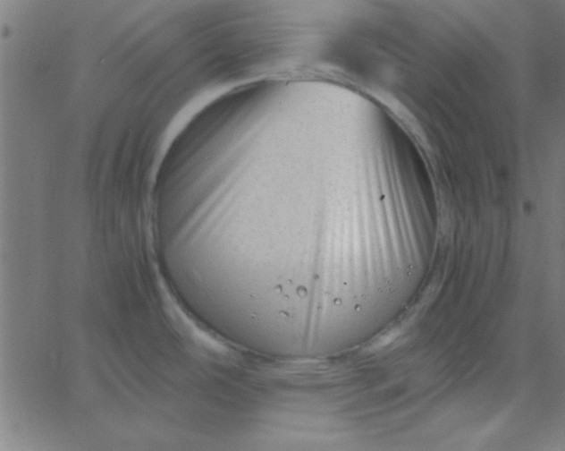 X0000067911486200604271905