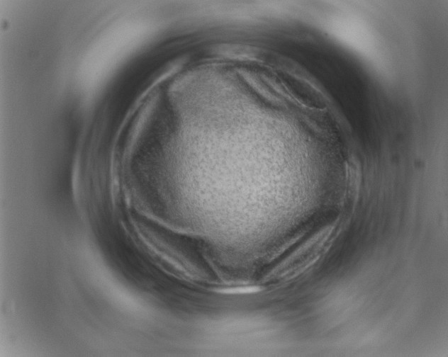 X0000067911487200604271905