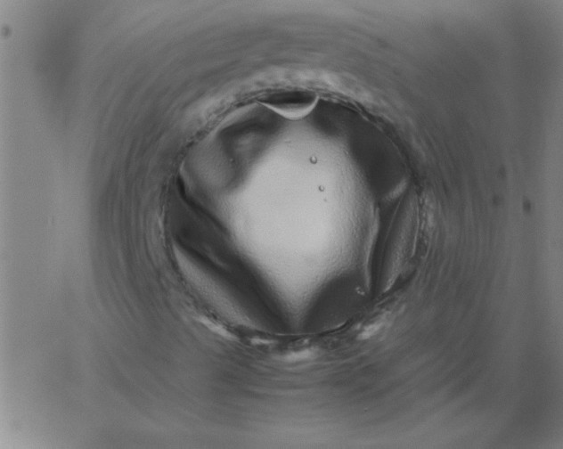 X0000067911489200604271904