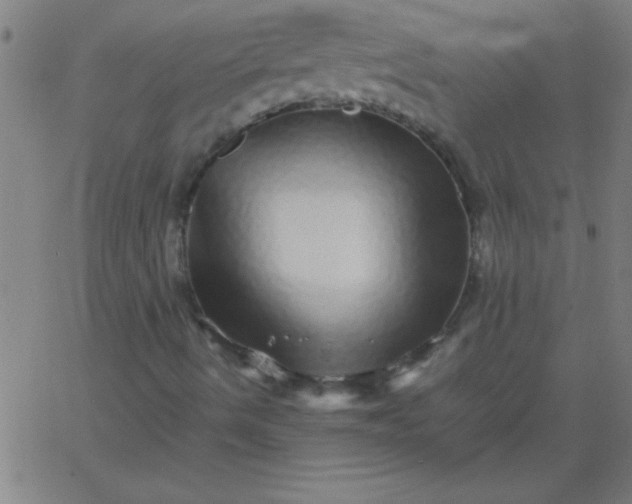 X0000067911490200604271904