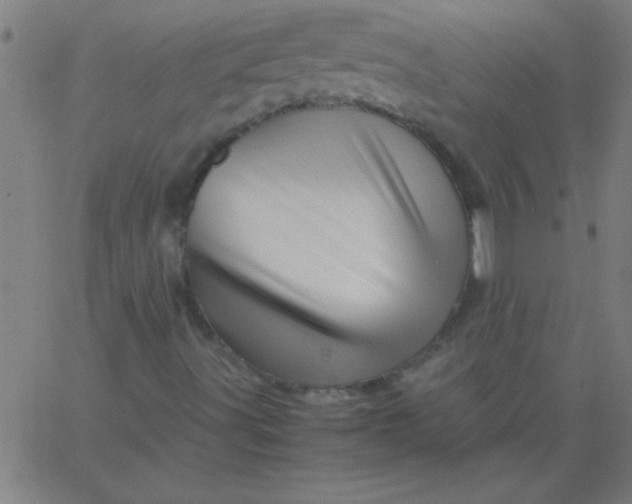 X0000067911491200604271904