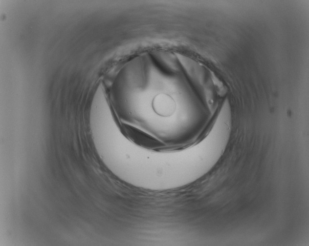 X0000067911492200604271904