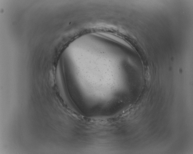 X0000067911493200604271904