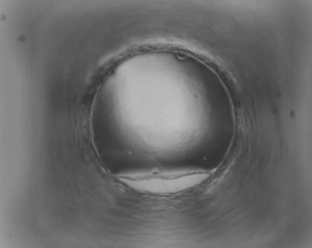 X0000067911494200604271904