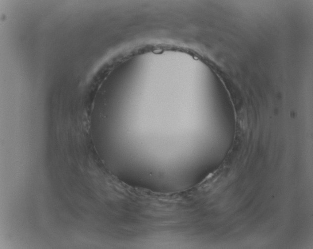 X0000067911495200604271904