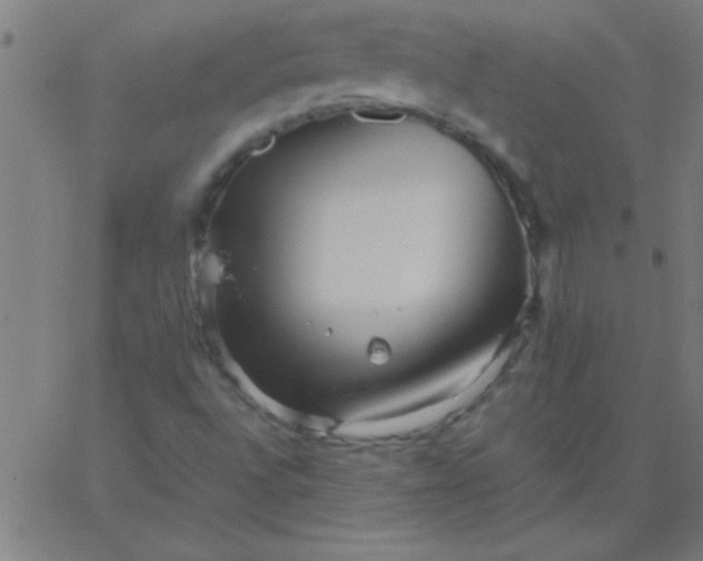 X0000067911496200604271904