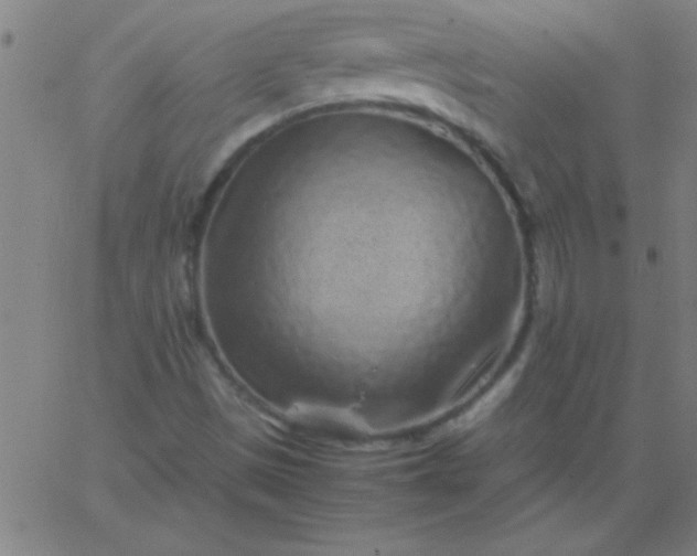 X0000067911497200604271904