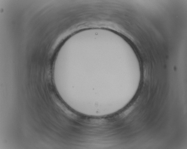 X0000067911498200604271904