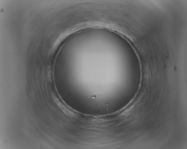 X0000067911499200604271904