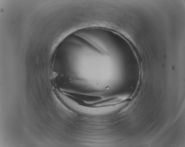 X0000067911500200604271904