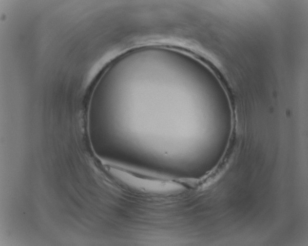 X0000067911501200604271904