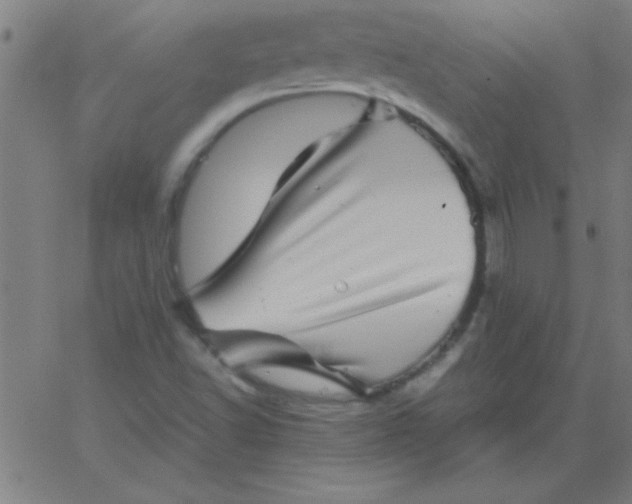 X0000067911502200604271904