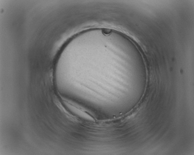 X0000067911503200604271904