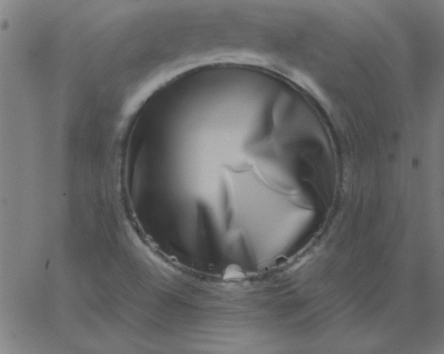 X0000067911504200604271904