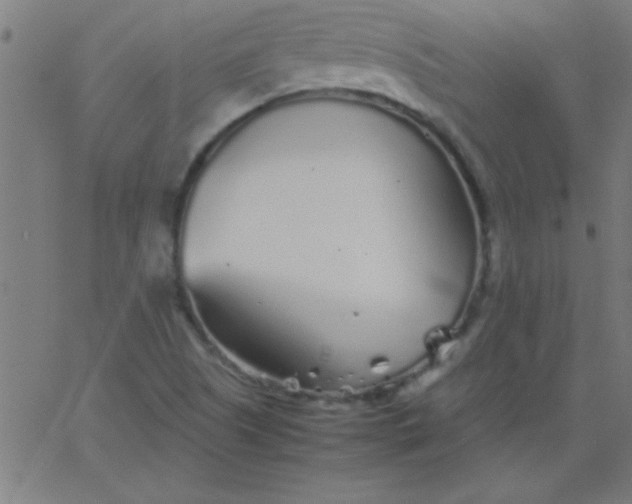 X0000067911505200604271904