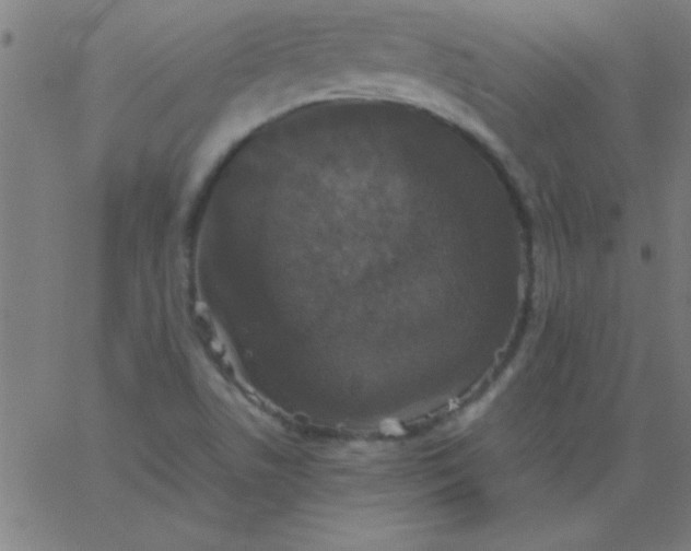 X0000067911506200604271904