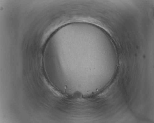 X0000067911507200604271904