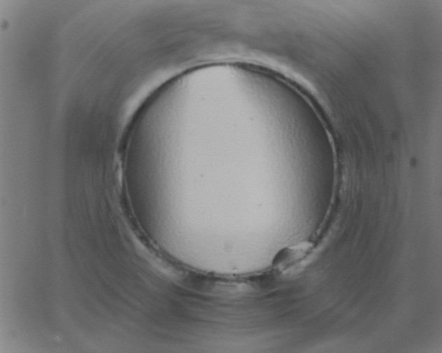 X0000067911509200604271905