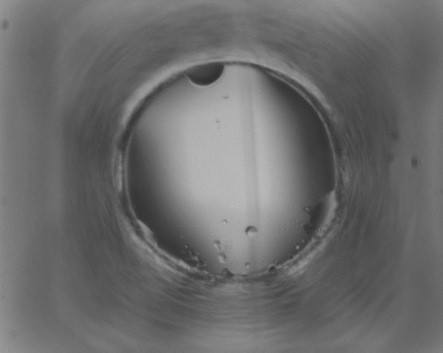 X0000067911510200604271905