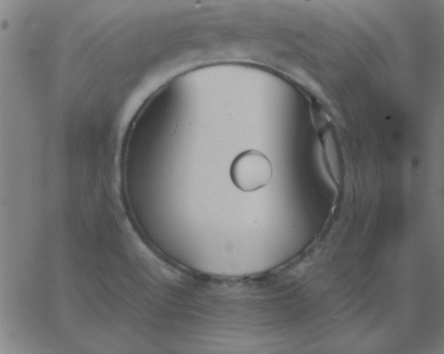 X0000067911512200604271905