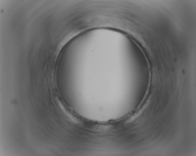 X0000067911513200604271905