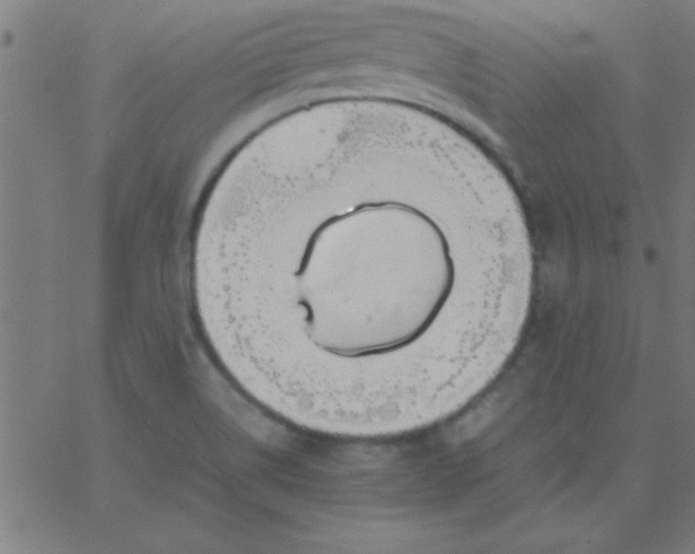 X0000067911514200604271905