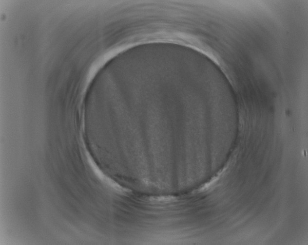 X0000067911515200604271905