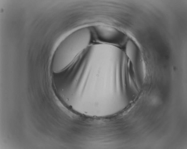 X0000067911516200604271905