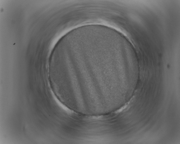 X0000067911519200604271905