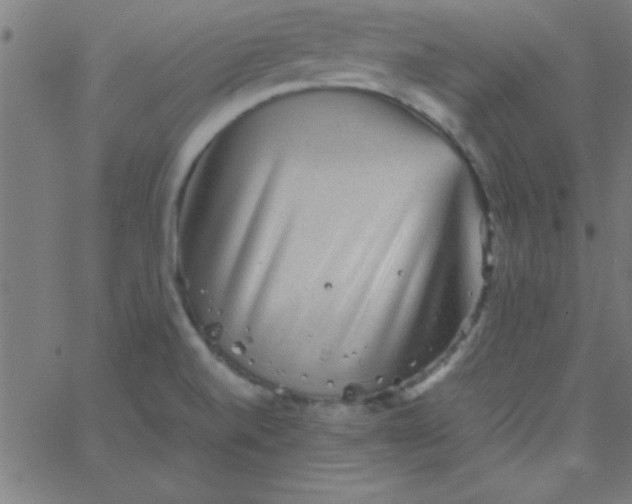 X0000067911520200604271905