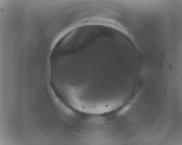 X0000067911522200604271905