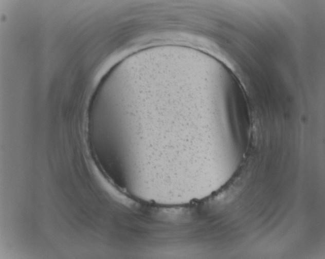 X0000067911523200604271905