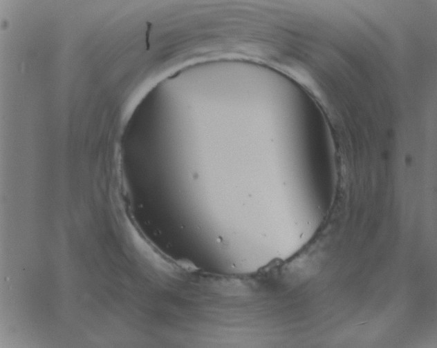 X0000067911524200604271905