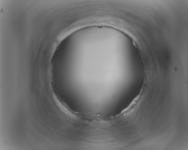 X0000067911526200604271905