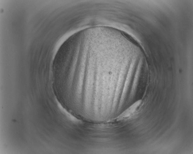 X0000067911527200604271905