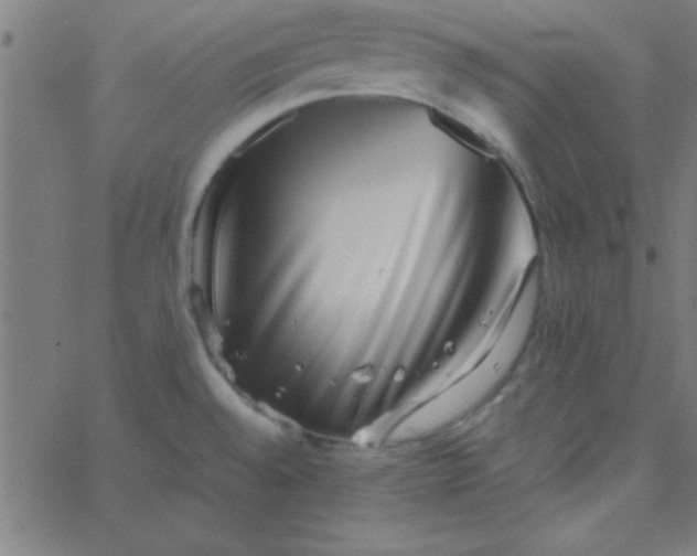 X0000067911528200604271905