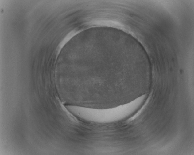 X0000067911529200604271905