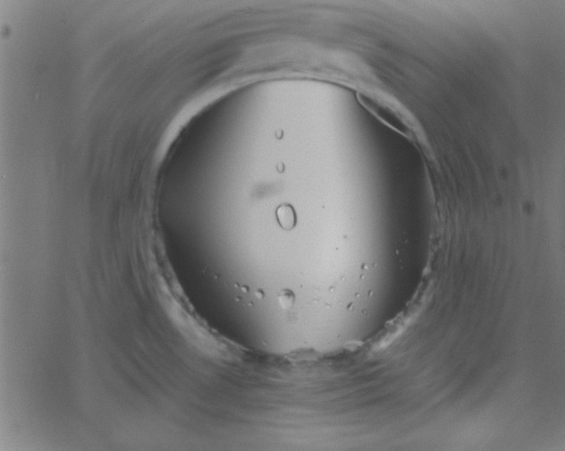 X0000067911530200604271905