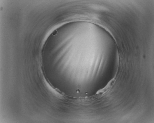 X0000067911531200604271905