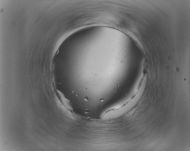 X0000067911532200604271905