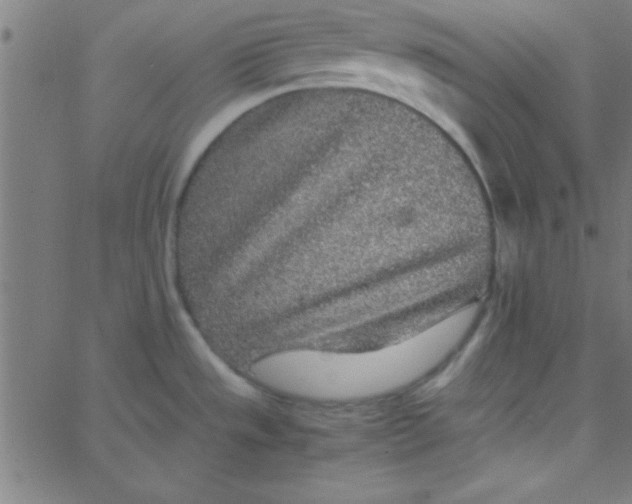 X0000067911533200604271905