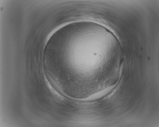 X0000067911534200604271905